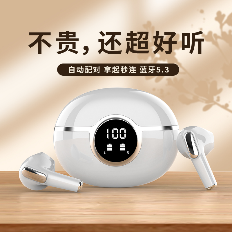 Bluetooth Portable Headphones
